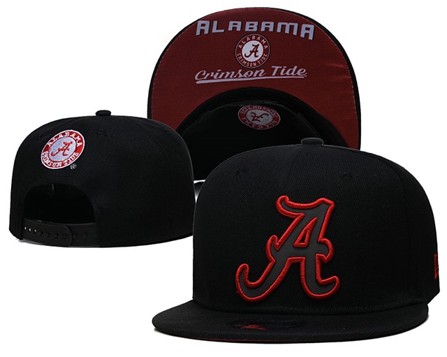 NCAA snapback caps-014